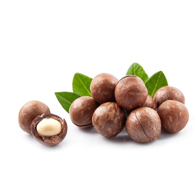 Whole Macadamia Nuts in Shell - 1 KG